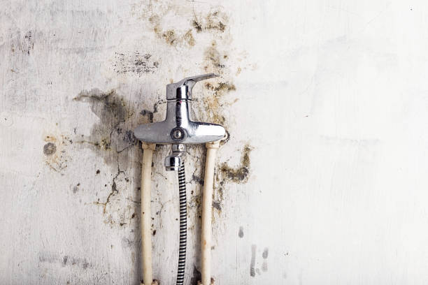 Trusted Ellerslie, GA Mold Remediation Experts