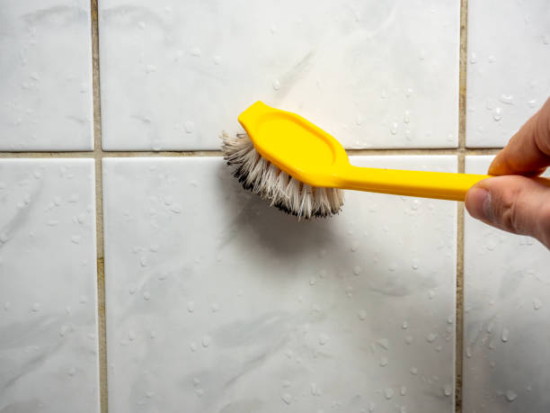 Best Residential Mold Remediation in Ellerslie, GA