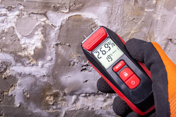 Best Basement Mold Remediation in Ellerslie, GA