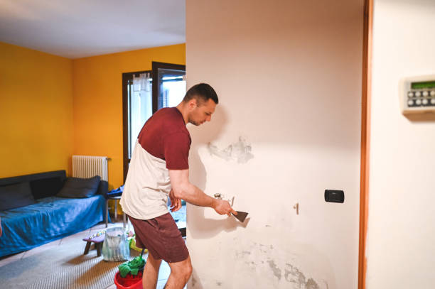 Best Residential Mold Remediation in Ellerslie, GA